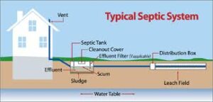 Typical Septic System